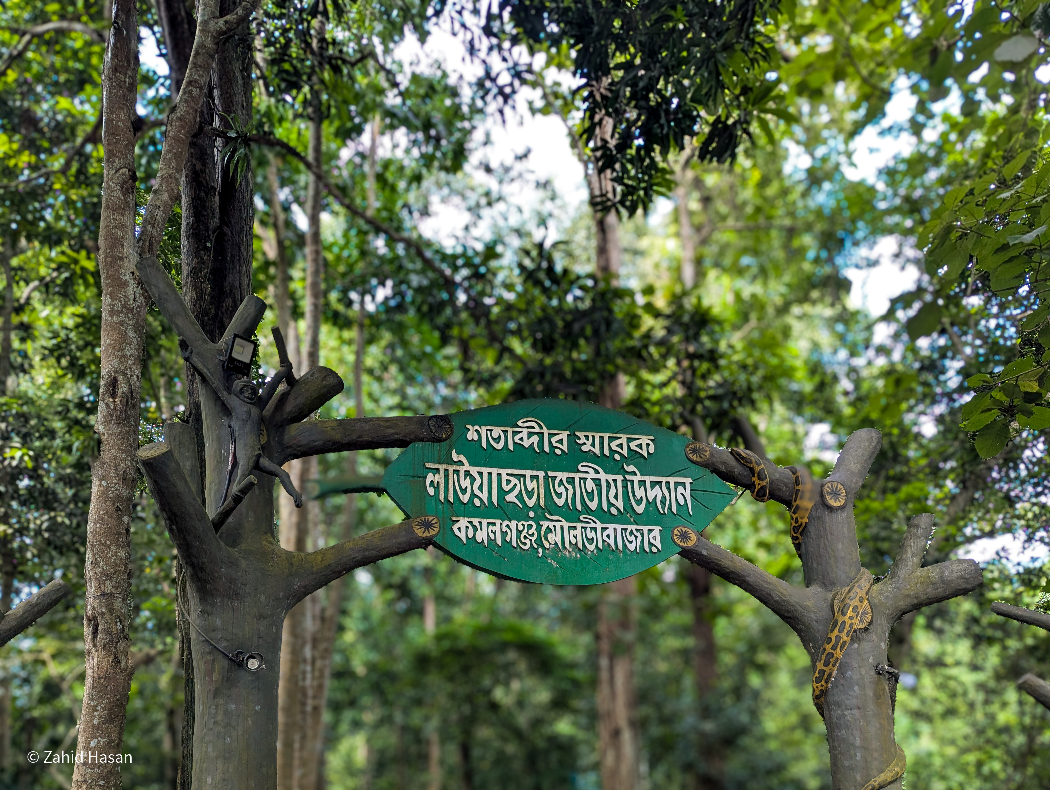 রেশমার সাথে ক্যাম্পিং