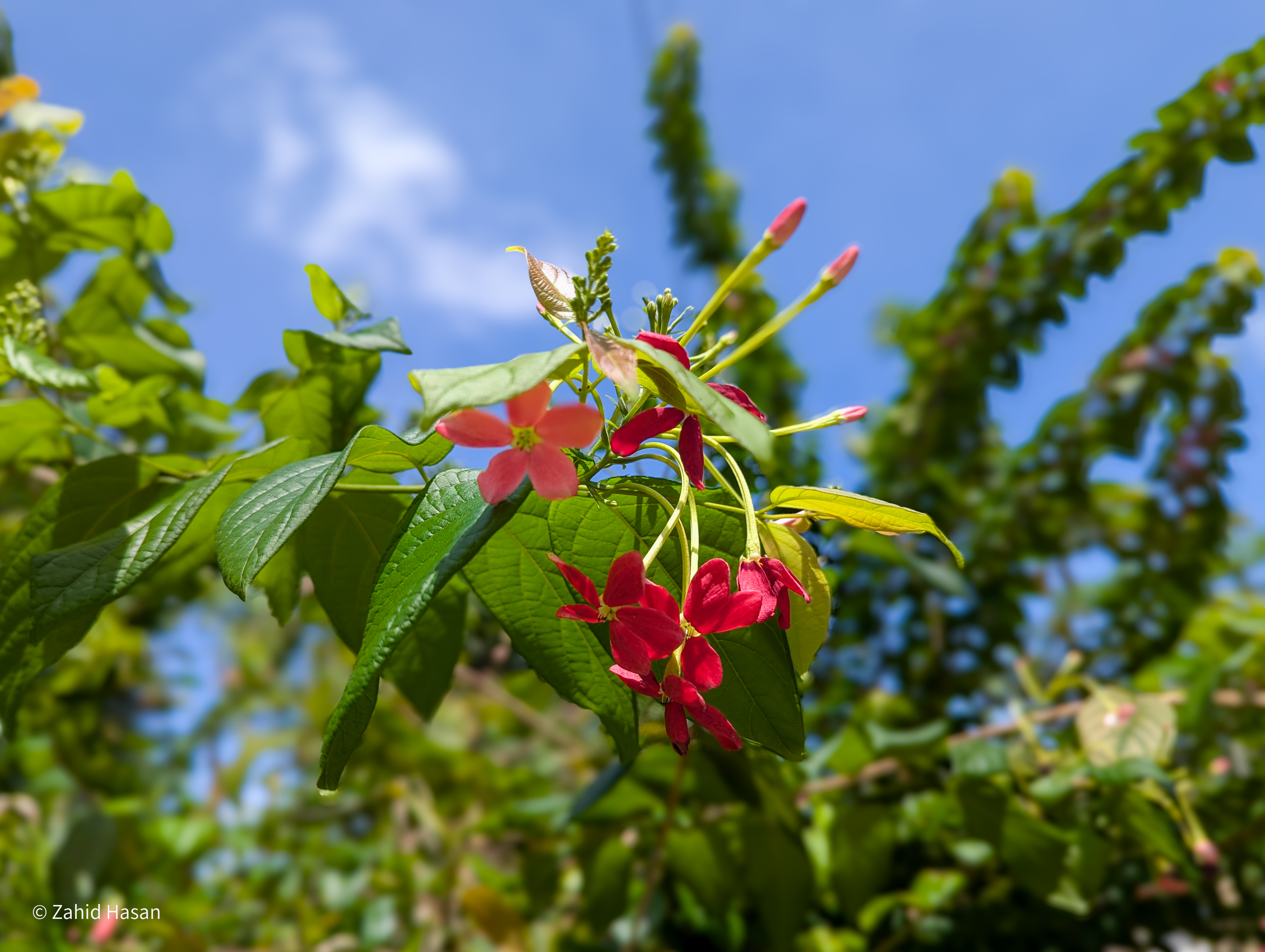 লিমন ও লিটুর সাথে ঘোরাঘুরি